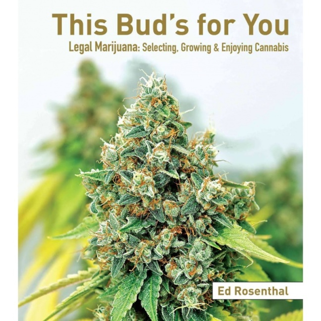 this buds for you